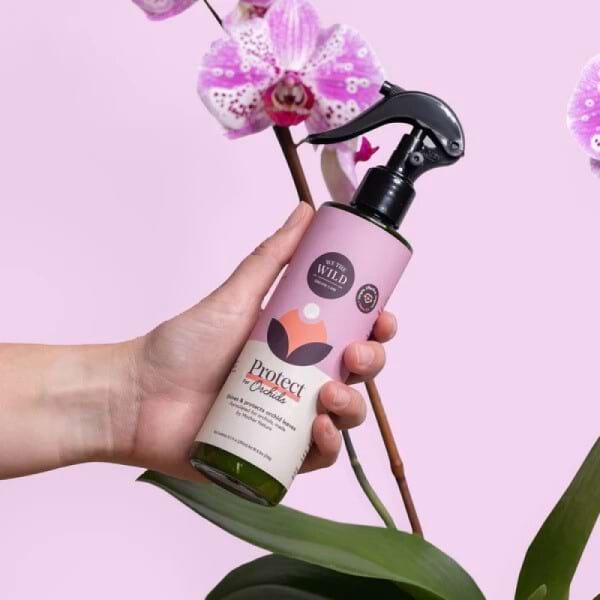 Orchid Care Kit 2