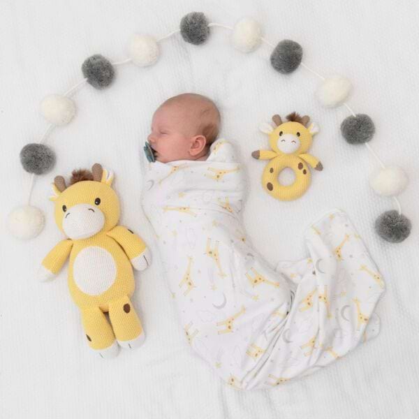 Noah the Giraffe 4