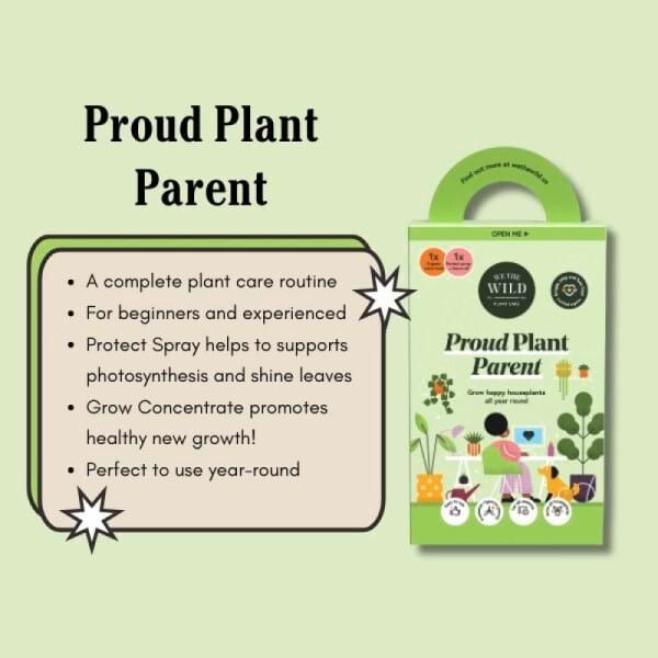 Proud Plant Parent Kit 3