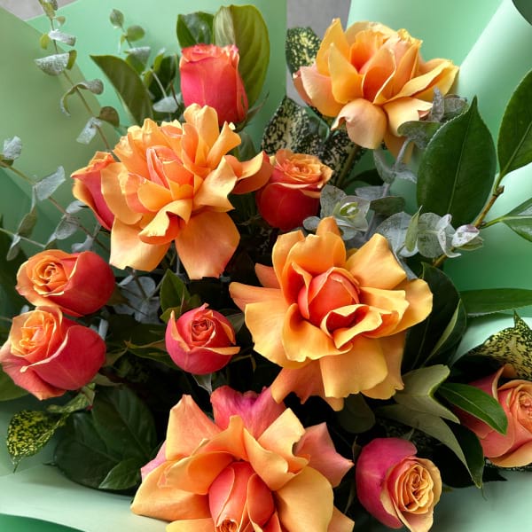 Cherry Brandy Roses 3