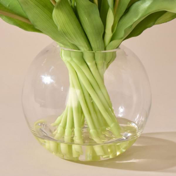 Spring Tulips Everlasting 2