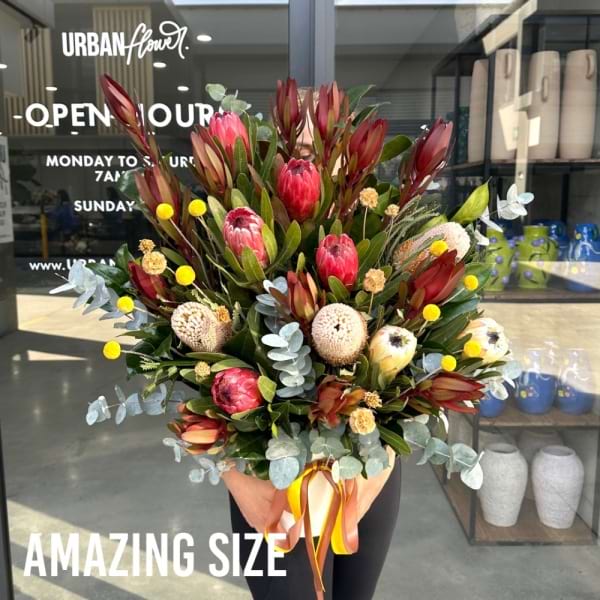 Amazing Size Outback
