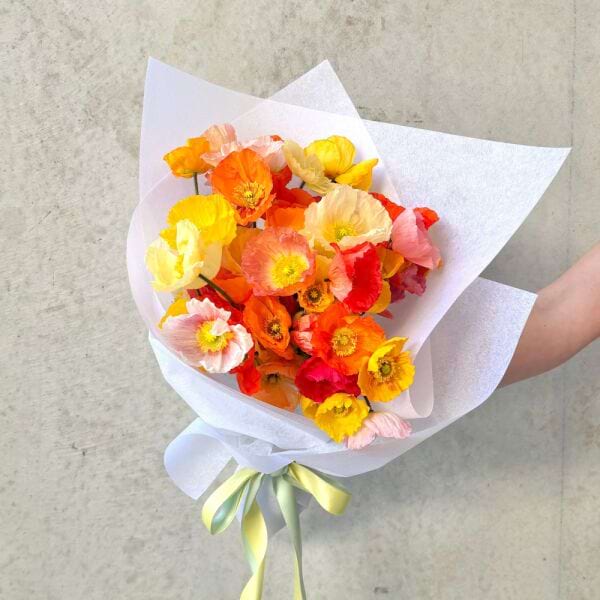 Poppy Posy 2