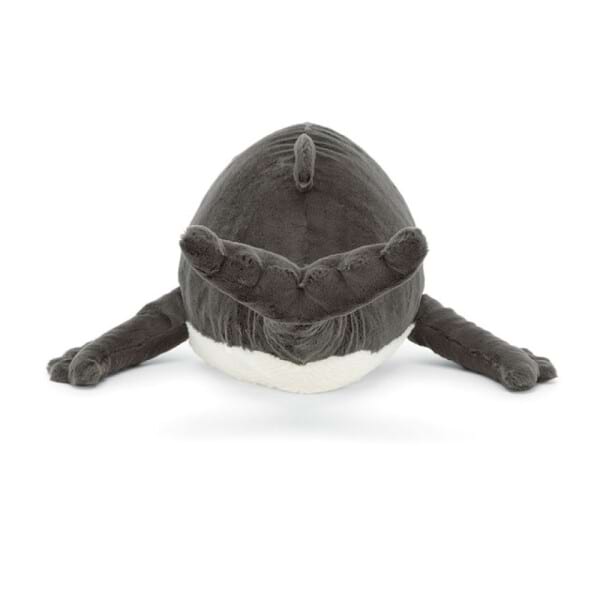 Humphrey the Humpback Whale 3
