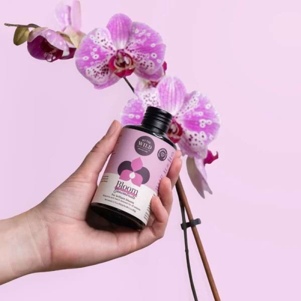 Orchid Care Kit 4