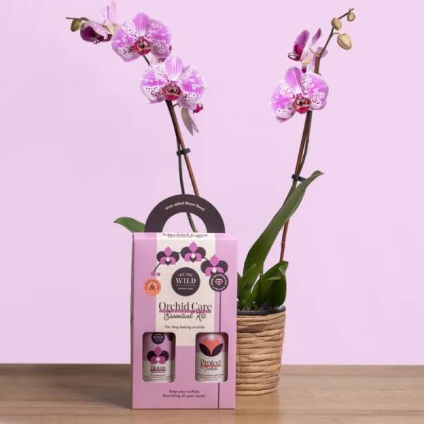 Orchid Care Kit 3