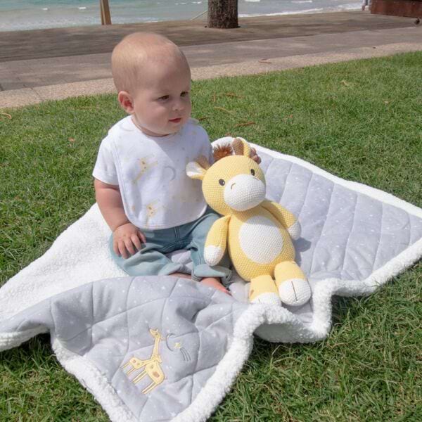 Noah the Giraffe 2