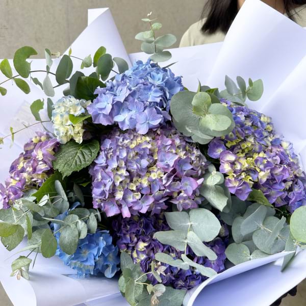 Hydrangea Bouquet 2