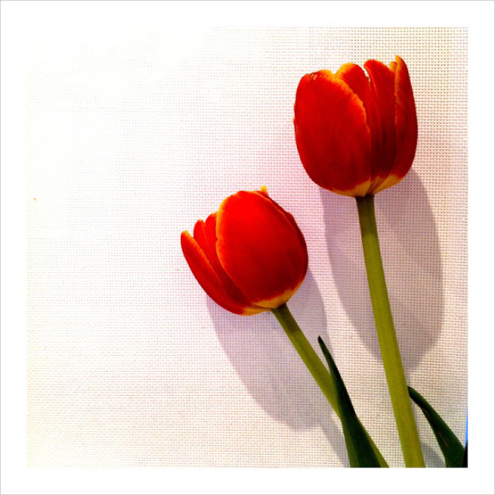 A Flower Growing and Selling Legacy
