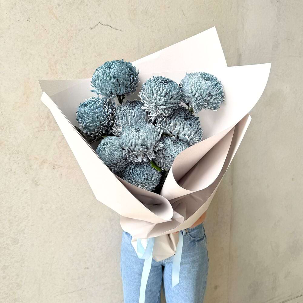 Bouquet of Blue Chrysanthemums