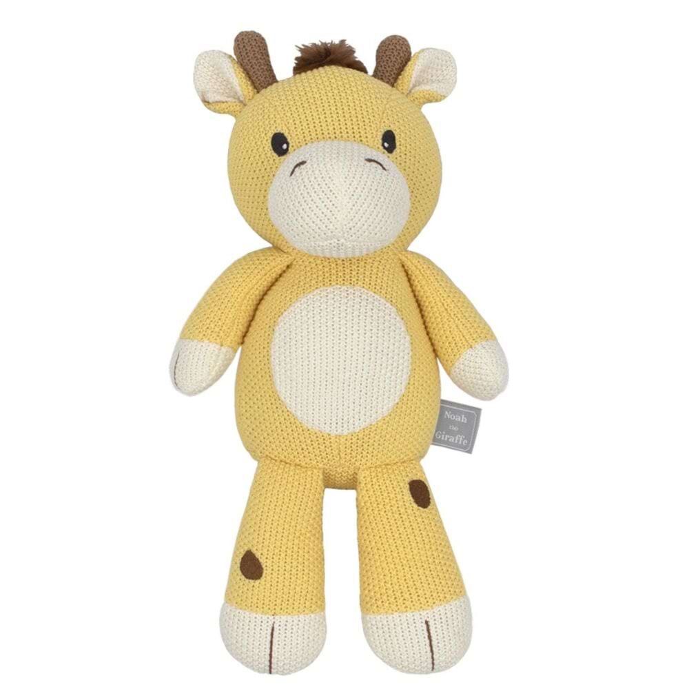 Noah the Giraffe