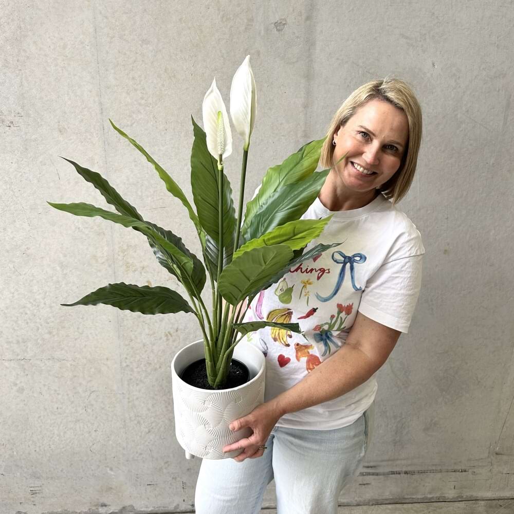 Peace Lily Everlasting