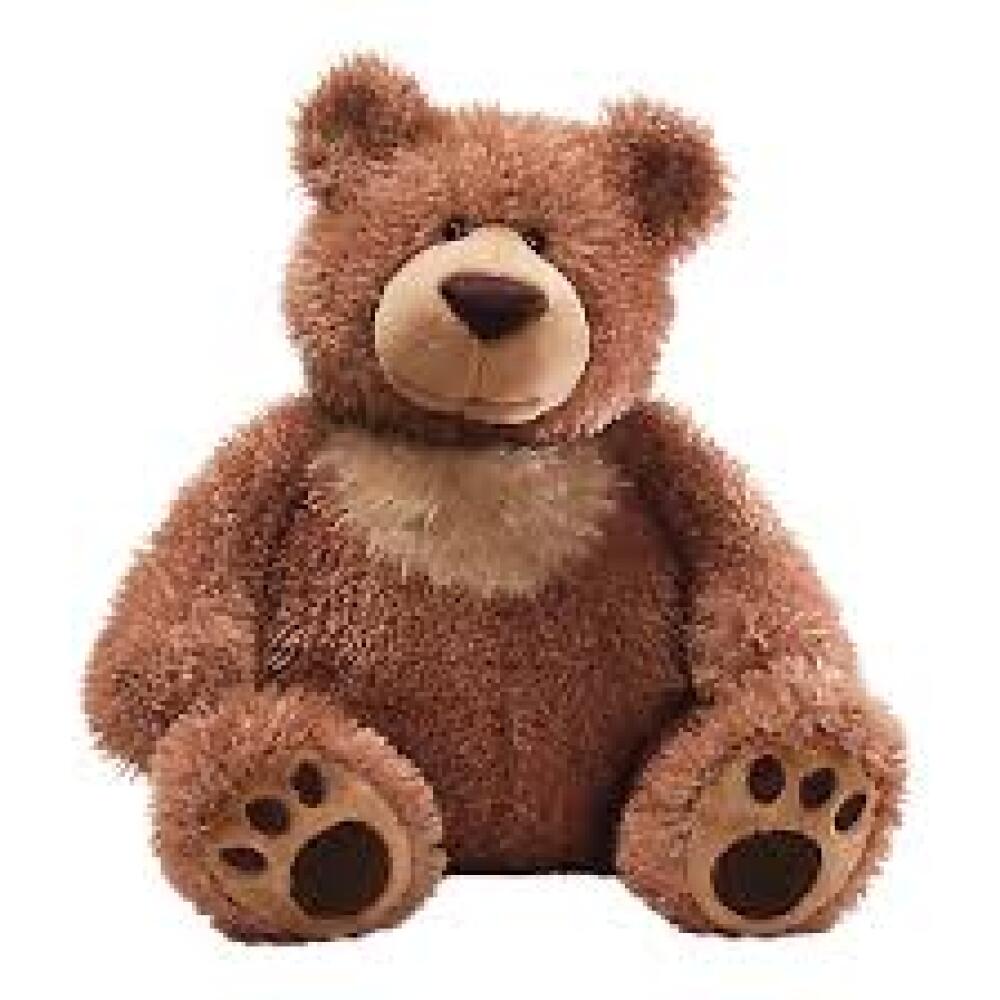 Bear Slumbers Brown