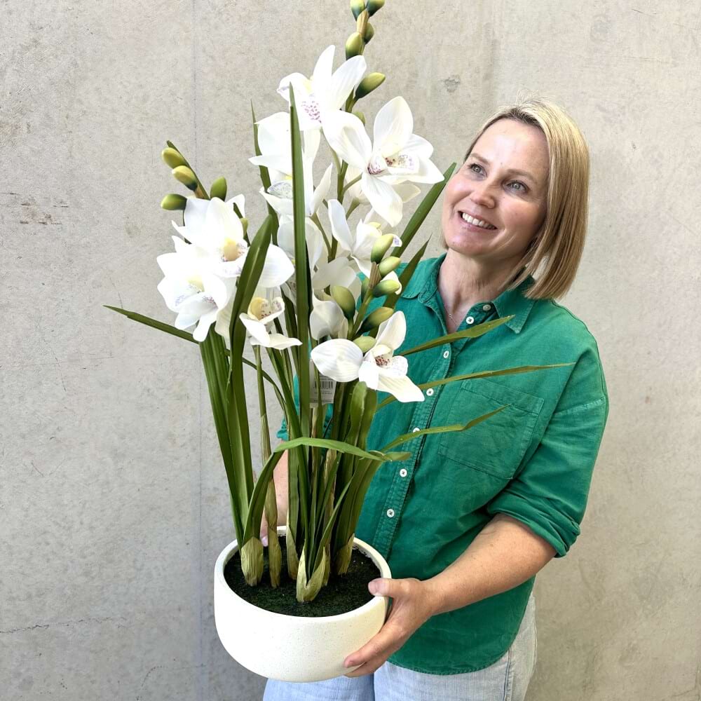 Cymbidium Orchid Pot Everlasting